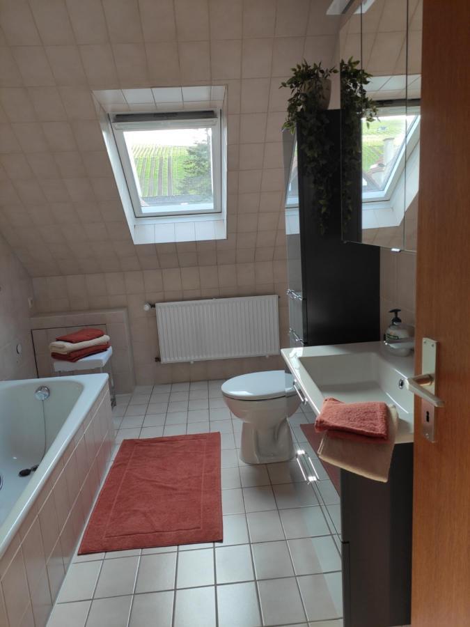 Ferienwohnung Unter Dem Sonnberg Auggen Εξωτερικό φωτογραφία